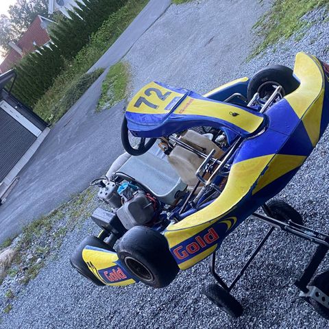 Gokart Selges billig!