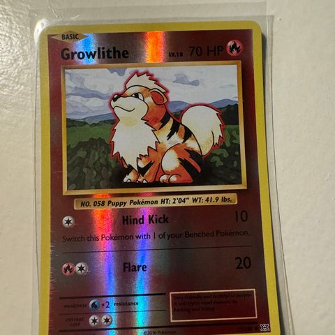 Growlithe [Reverse Holo] #17 Pokemon Evolutions