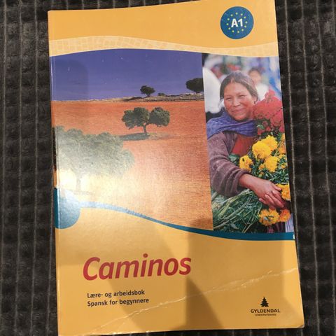 Caminos 1 - lære- og arbeidsbok : spansk for begynnere