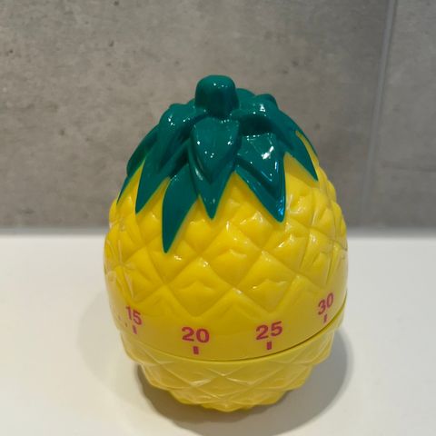 Rice ananas timer