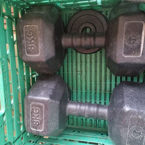 Dumbell 8 kg (pair) - total 16kg - Hardly used