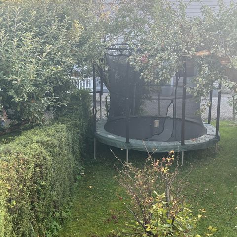 Trampoline gis bort mot henting