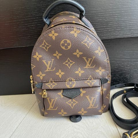 Louis vuitton LV Palm springs veske