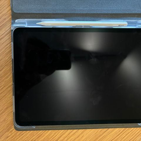 iPad Pro 11" (2018) 64gb