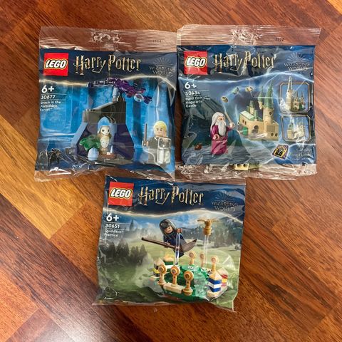 Lego Harry Potter (30651 + 30435 & 30677)