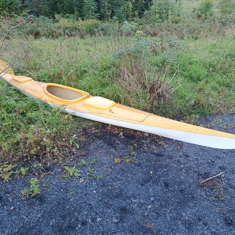 Kayak