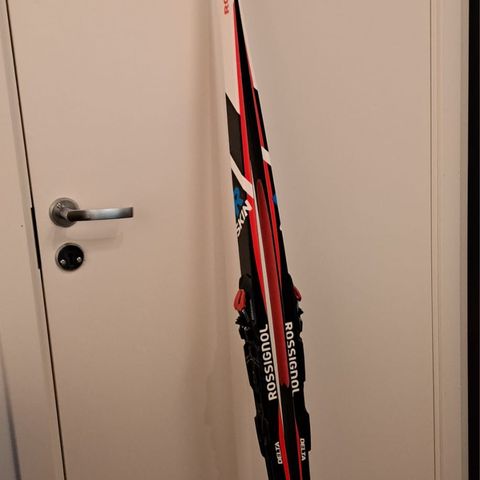 Rossignol Delta ski 186