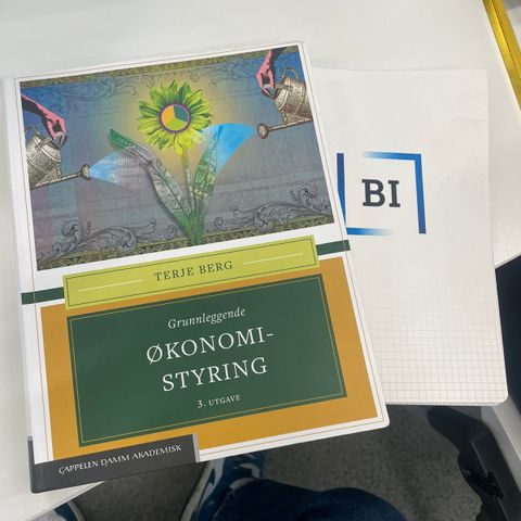 Grunnleggende Økonomi Styring bok