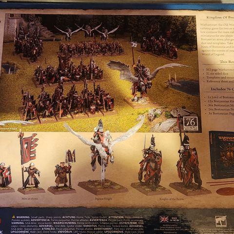 Kingdom of Bretonnia Starter Set
Warhammer The Old World