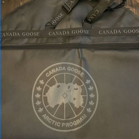 Canada goose