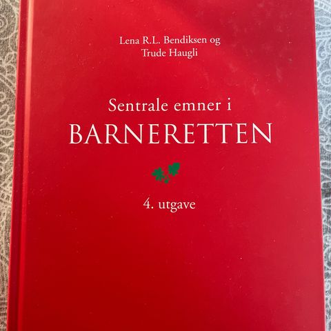 Sentrale emner i barneretten 4. utgave