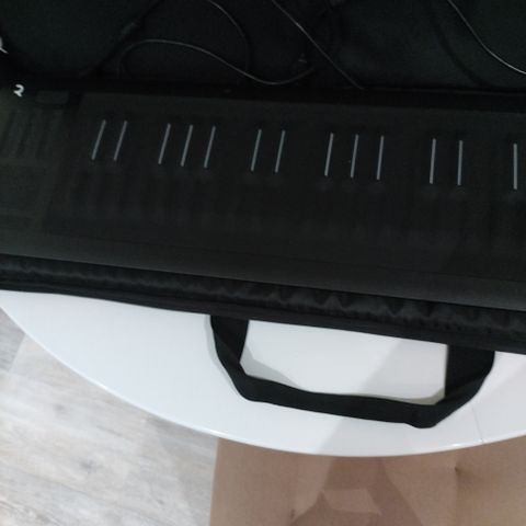 Roli seaboard.