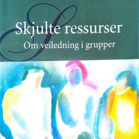 Skjulte ressurser - Om veiledning i grupper