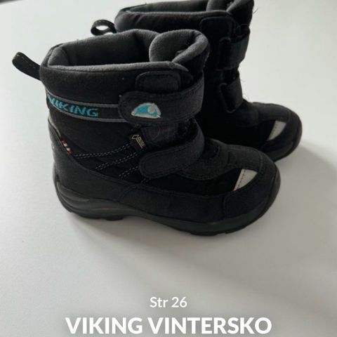 Viking Gore-Tex vintersko str 26