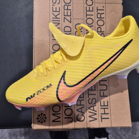 Zoom vapor 15 academy  fg/mg