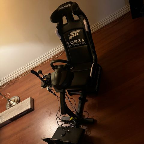 Thrustmaster t150 med playseat og håndbrekk