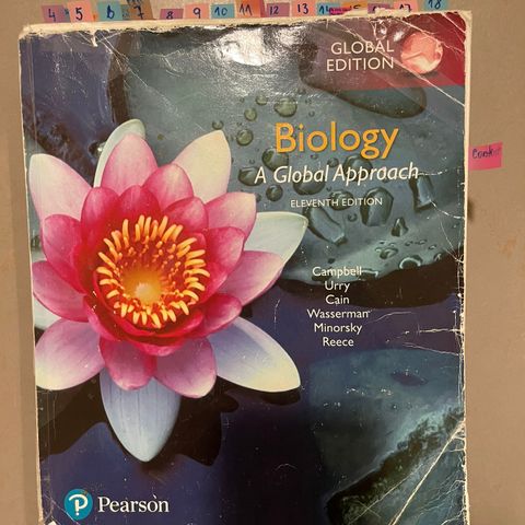 Biology a global approach