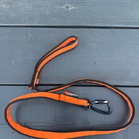 NonStop bungee leash