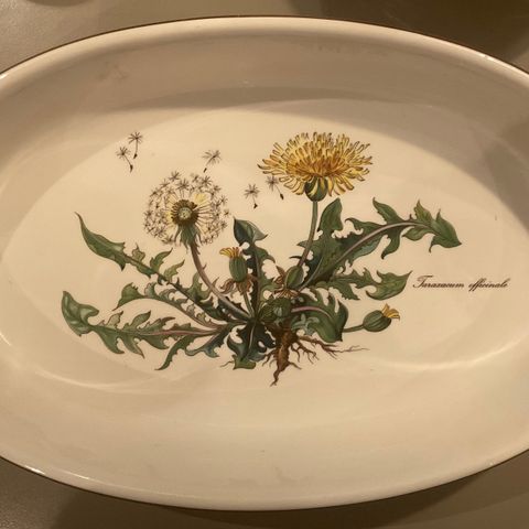 Villeroy&Boch «BOTANICA» ildfast fat