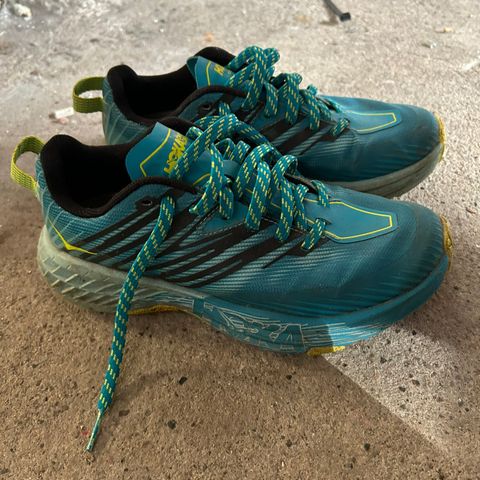 Hoka speedgoat