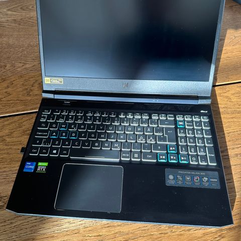 Acer Predator Helios 300