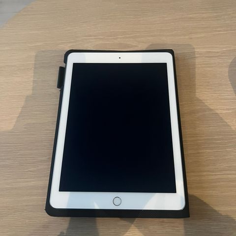 Apple iPad Air 2 - WiFi + Cellular (128 GB)