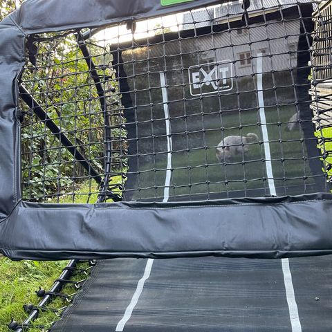 Exit Rebounder, fotball