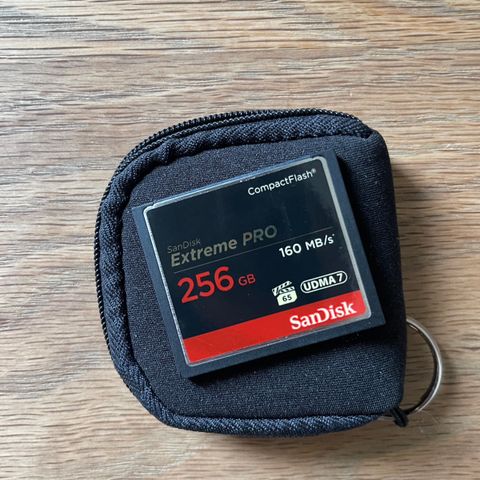 SanDisk CF 256gb