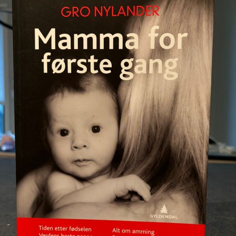 Mamma for første gang - Gro Nylander