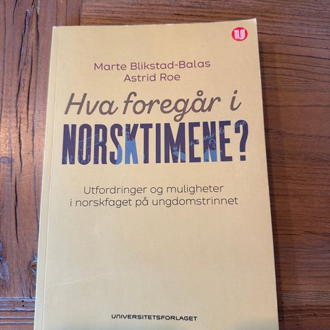 Hva foregår i norsktimene?