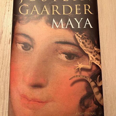 Jostein Gaarder - Maya