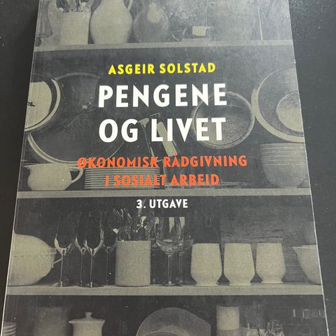 Pengene og livet, økonomisk rådgivning i sosialt arbeid.