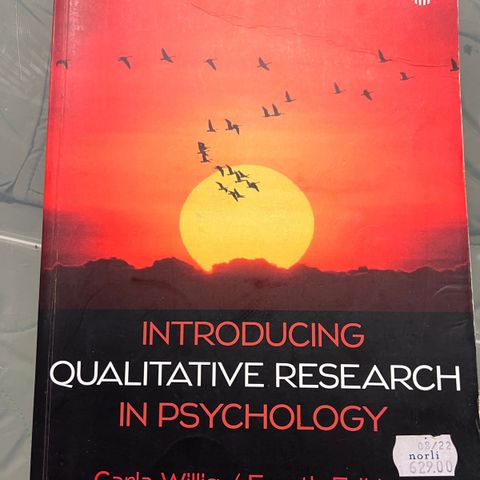 Introducing qualitative research