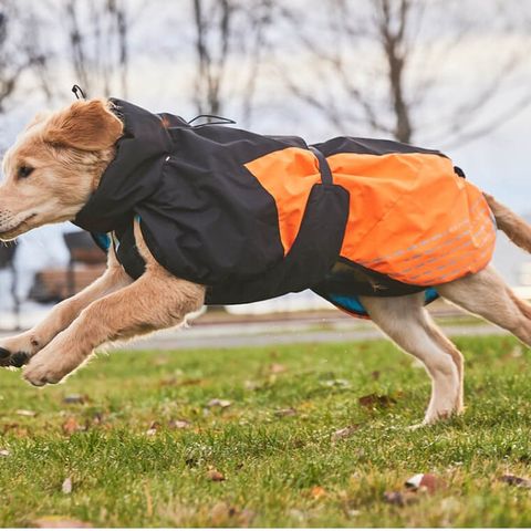 Non-stop Dogwear Glacier Dog Jacket 2.0