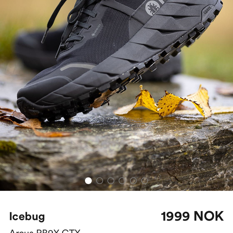 Icebug løpesko med gore-tex størrelse 43=28 cm