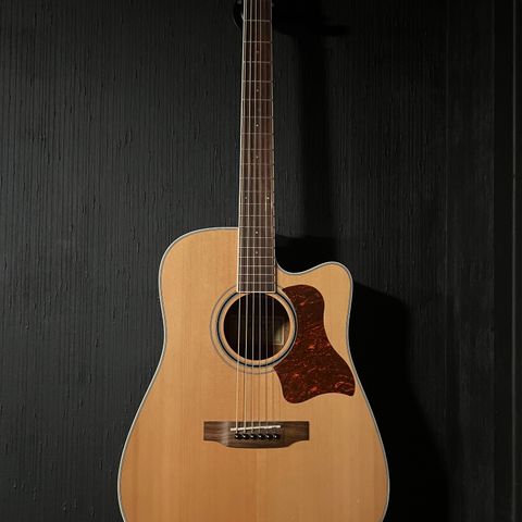 Morgan gitar