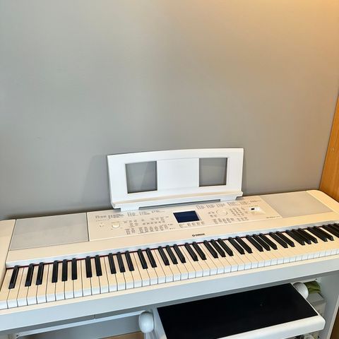 Yamaha dgx-660