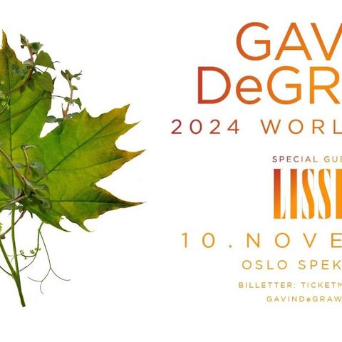 Selger 1 stk. ståplass til Gavin DeGraw i Oslo,søndag, 10/11-24