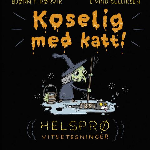 Koselig med katt. Tegneserie/illustrerte vitser. 6-9 år. Bjørn F. Rørvik