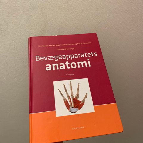 Bevægeapparatets Anatomi