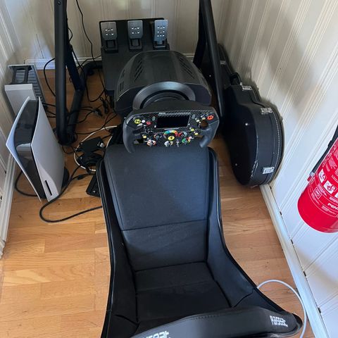 F1 simulator rigg