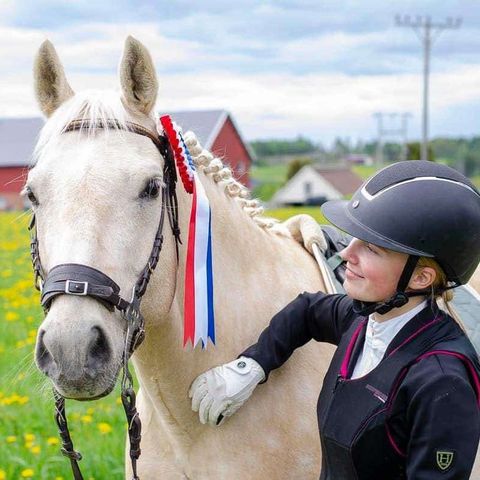 Søker hest på helfor!