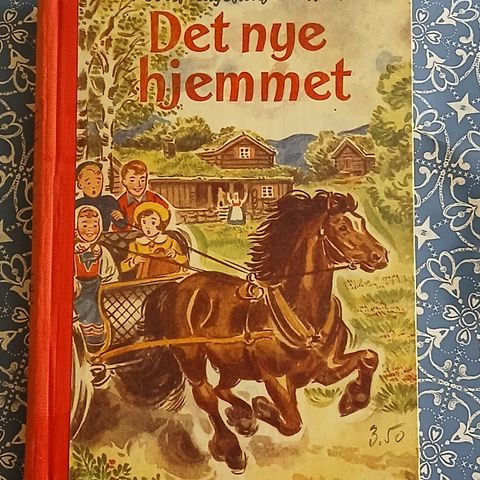 Det nye hjemmet