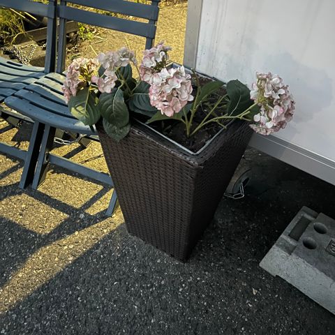 Blomsterkasser, kunstig plante…..