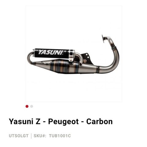 Yazuni z Peugeot speedfight 2 annlegg