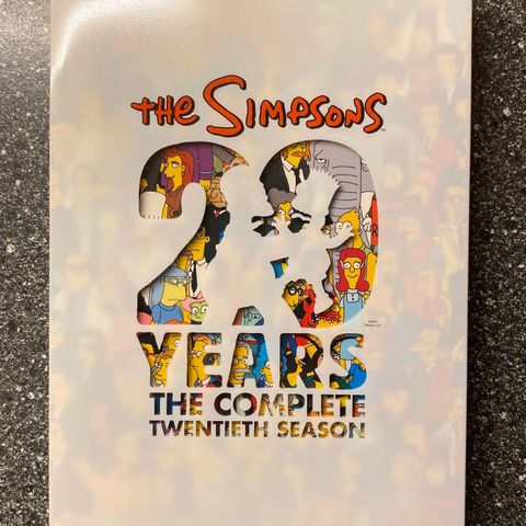 The Simpsons - The Complete Twentieth Season