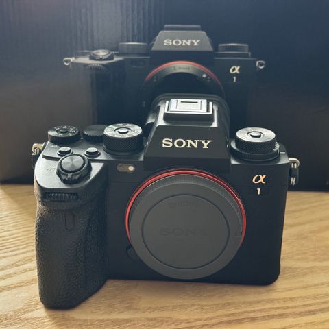 Sony A1