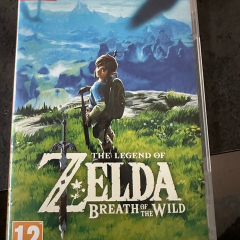 Zelda Breath of the wild