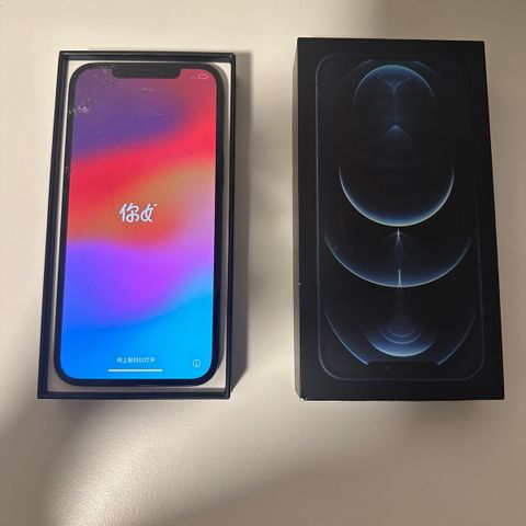 iPhone 12 Pro Max - 128 GB - Blå