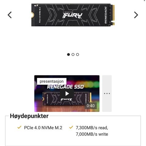 Kingston FURY Renegade PCIe M.2 NVME SSD 2TB